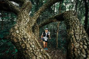 BIB: 
                            <button type="button" onclick="openModal(25393063)" class="btn btn-primary btn-sm float-right btn-popup" data-toggle="modal" data-target=".modal-high-quality">
                        <i class="fas fa-shopping-cart"></i> Add to Cart
                    </button>
                                            <button type="button" onclick="isThisMe(25393063, true)" class="btn btn-success btn-sm float-right btn-popup btn-isme hidden" data-toggle="tooltip" data-placement="bottom" title="นี่คือรูปของคุณใช่ไหม คลิกที่นี่เพื่อเอาเข้าอัลบั้ม">
                        <i class="fas fa-plus"></i> Add to album
                    </button>
                    <button type="button" onclick="isThisMe(25393063, false)" class="btn btn-warning btn-sm float-right btn-popup btn-isnotme hidden">
                        <i class="fas fa-ban"></i> Remove from album
                    </button>